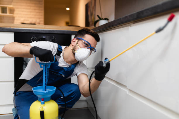 Best Insect Control  in Paulsboro, NJ