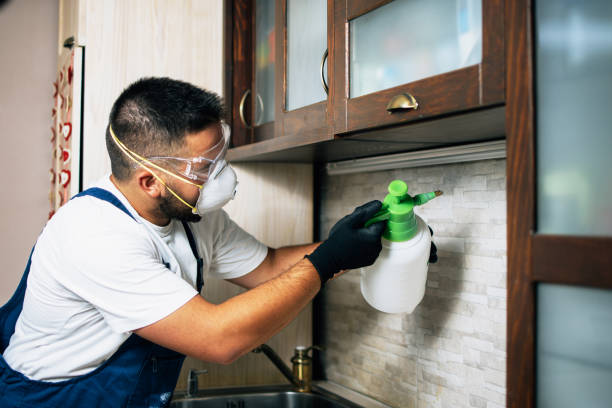 Best Emergency Pest Control  in Paulsboro, NJ