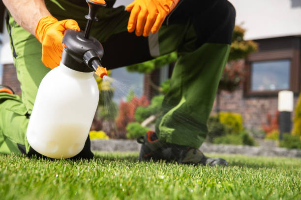 Best Wasp Removal Services  in Paulsboro, NJ