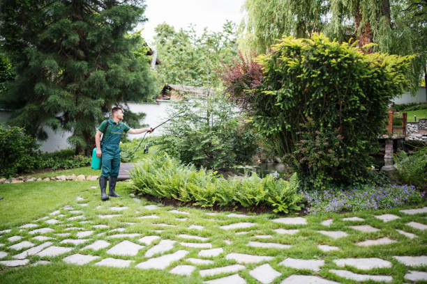 Best Wasp Removal Services  in Paulsboro, NJ