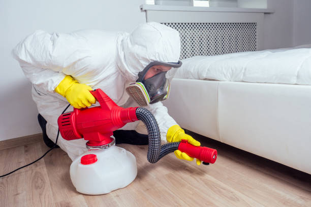 Best Pest Control Near Me in Paulsboro, NJ