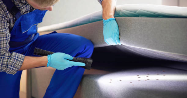 Best Commercial Pest Control Services  in Paulsboro, NJ