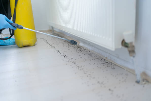 Insect Control in Paulsboro, NJ